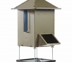 Bird Bistro – Automatic Bird Feeder