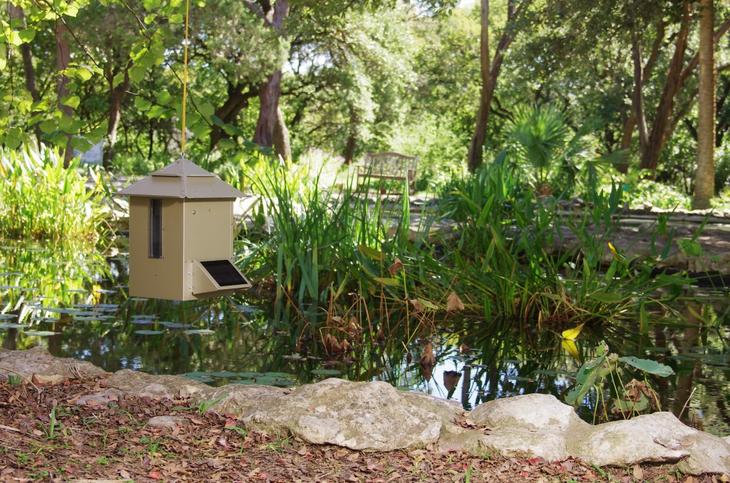 Koi Café Automatic Koi Feeder Best Automatic Koi Fish Feeder in Texas