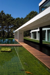 Clean and modern koi pond design. (Photo courtesy of freshhome.com)