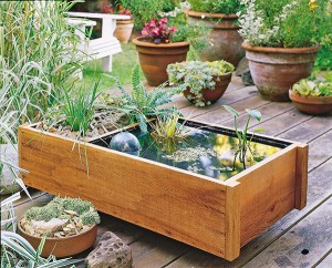 Pond in a Box. A great, decorative space-saver! (Photo courtesy of gardenmediagroup.com)