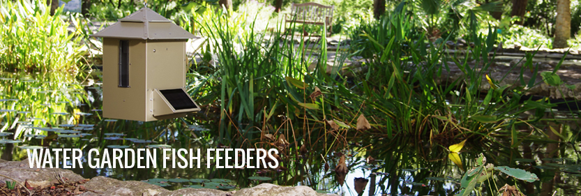 Curated visual reference: Koi Ponds Texas Koi Ponds Feeders Water Garden Fish Koi Photo Inspiration