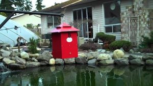 Recreational Fish Feeders for Enthusiasts